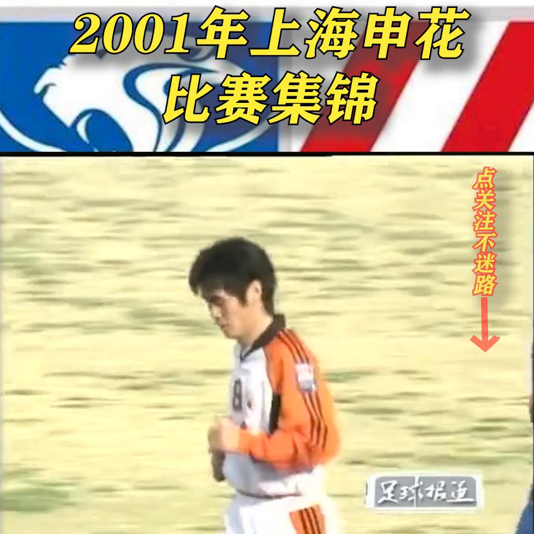 2001赛季甲a联赛申花3:1国安,2001年申花vs亚泰足协杯