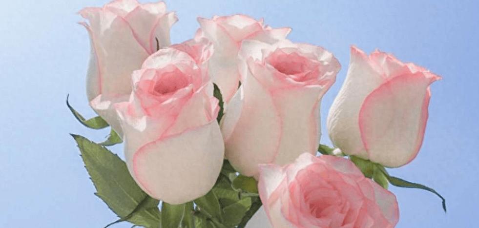 56岁大姐嫁给了高富帅,38岁大姐嫁25岁小伙