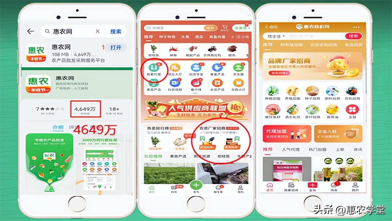 惠农网创业好项目,惠农网加盟怎么盈利