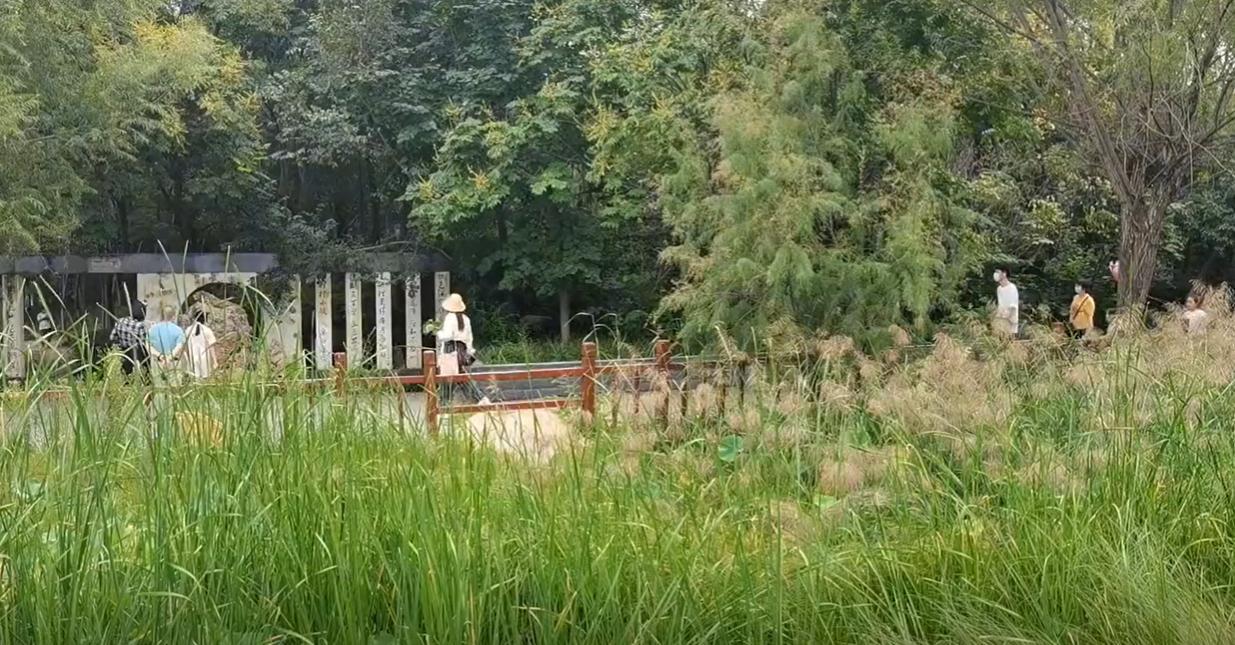 遛娃郑州周边一日游推荐,郑州北区遛娃好去处