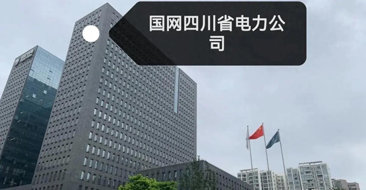 国网公司中标举报,中标候选人公示被投诉