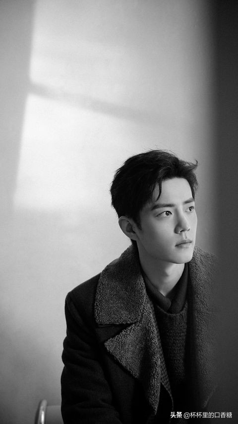 肖战凭陈情令圈粉无数,肖战陈情令镜头混剪又甜又燃