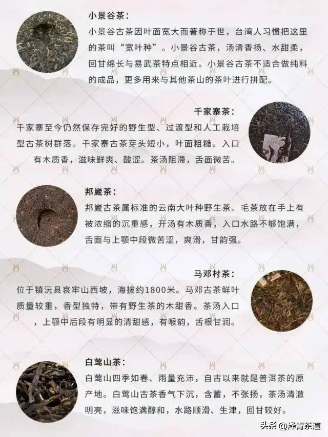 云南34个名山头普洱茶特点及2023云南普洱茶各名产区春茶价格预测