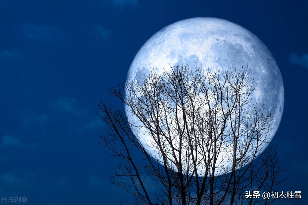 小雪节气无雪的古诗词,24节气小雪的古诗词