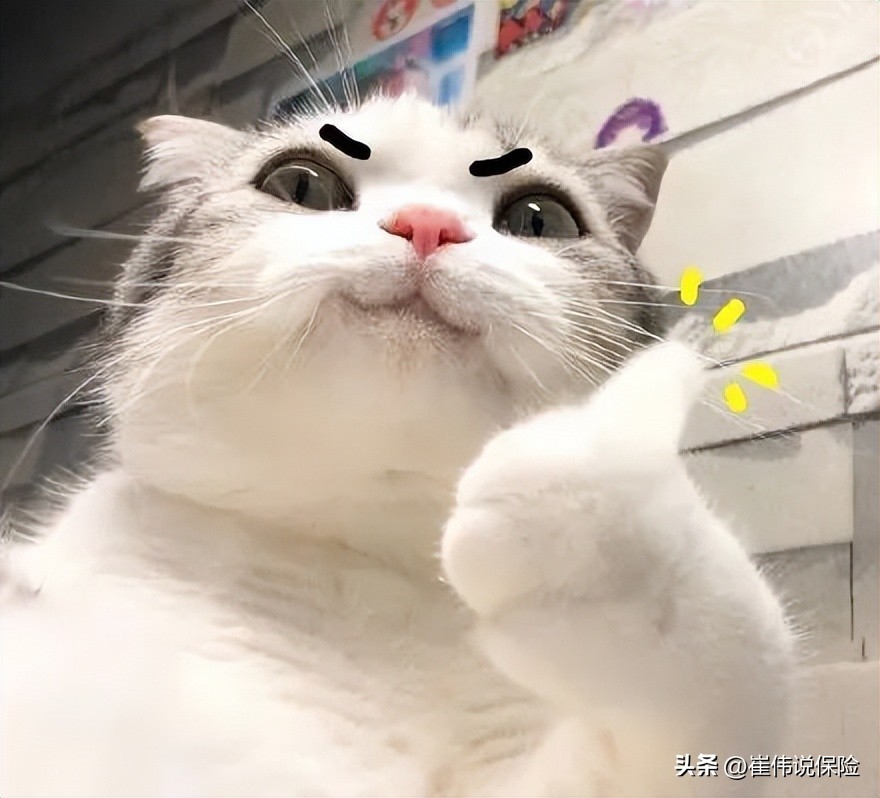 房贷利率下调10个基点房贷降多少,房贷利率降20个基点100万差多少钱