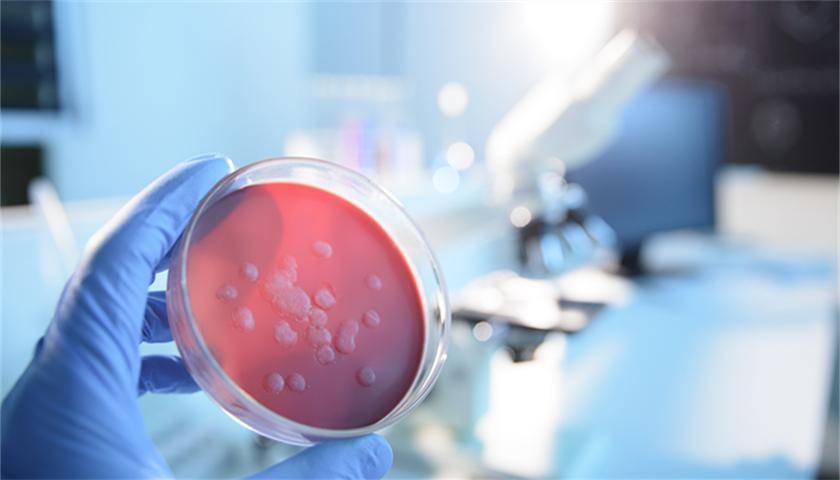 布鲁氏杆菌性脊柱炎的诊断和治疗,布鲁菌性脊柱炎吃什么药