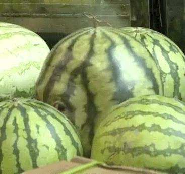 王鹤棣玩猜词游戏有多好笑,王鹤棣直播炸串有多好笑