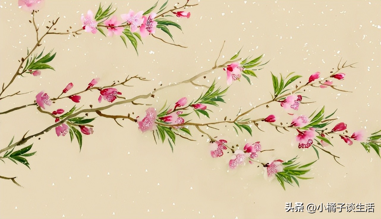 宁遭桃花劫不入白虎身是什么意思,宁遭桃花劫勿沾白虎身