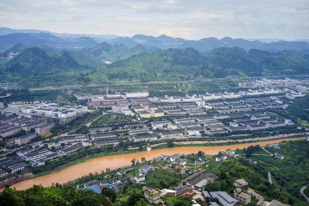 拐枣可以泡水和泡酒,拐枣与肉桂泡酒功效