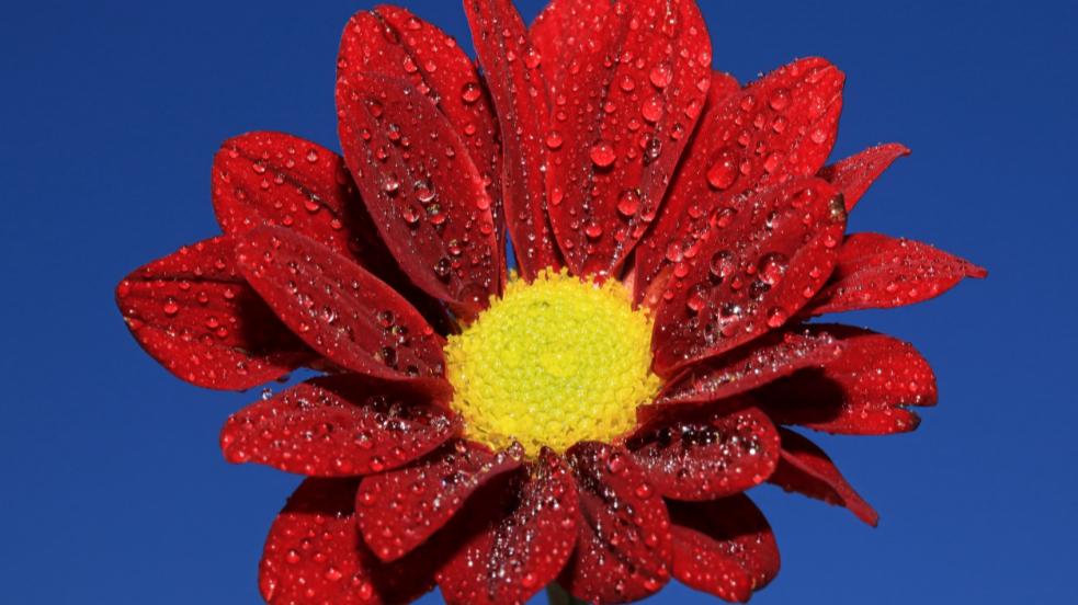 中年女人幸福的标准是什么,中年女人幸福的秘诀