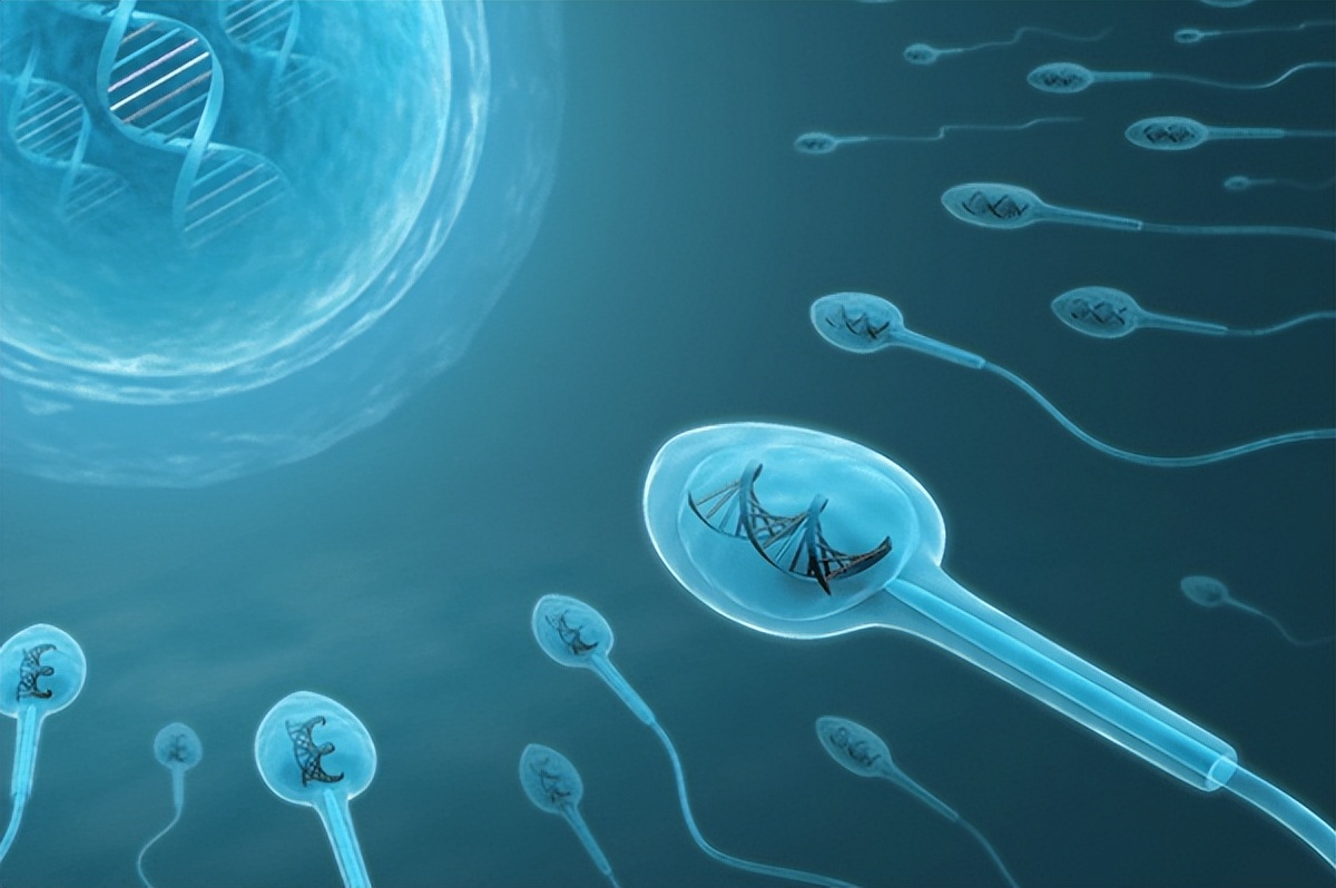 精子dna不好会导致胎停吗,流产胎停是精子问题吗