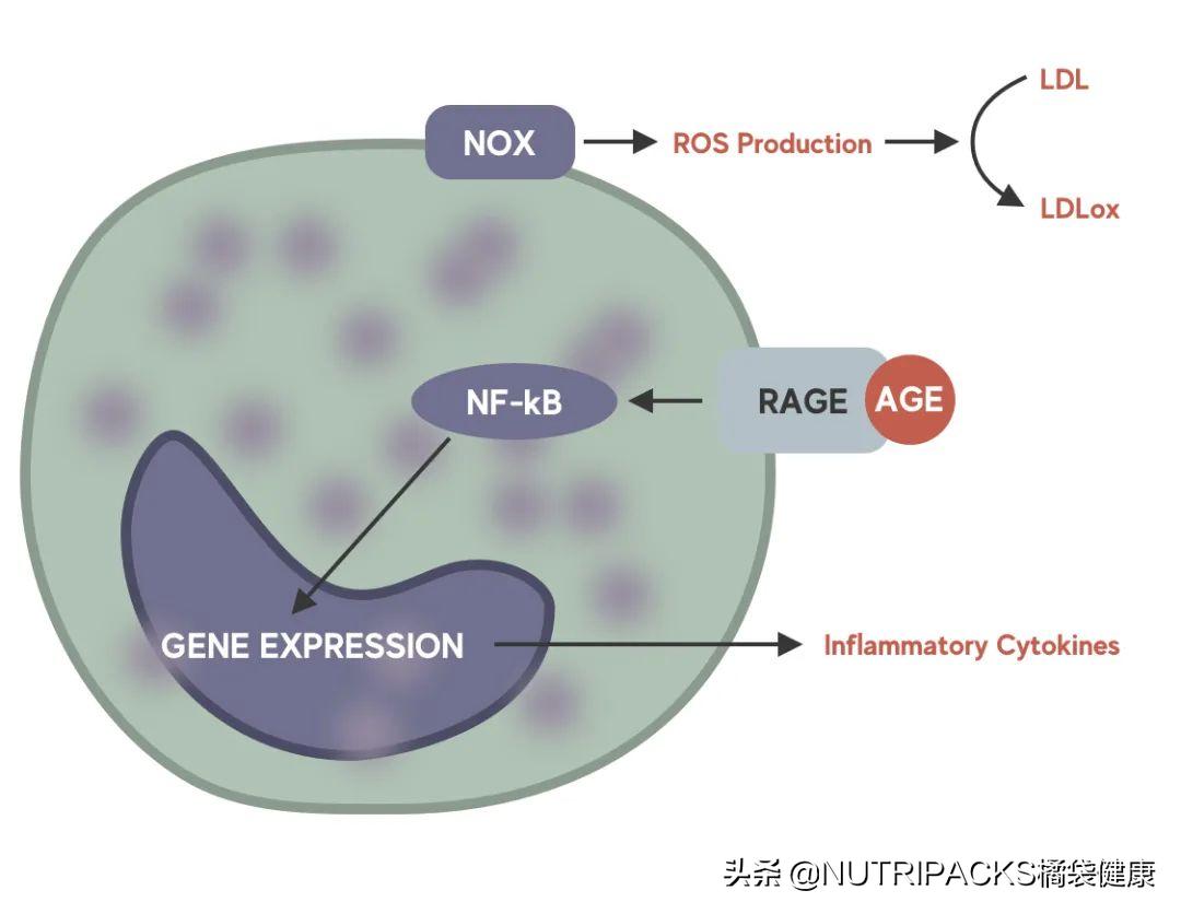 抗糖丸真的能变白吗,明星吃的抗糖丸
