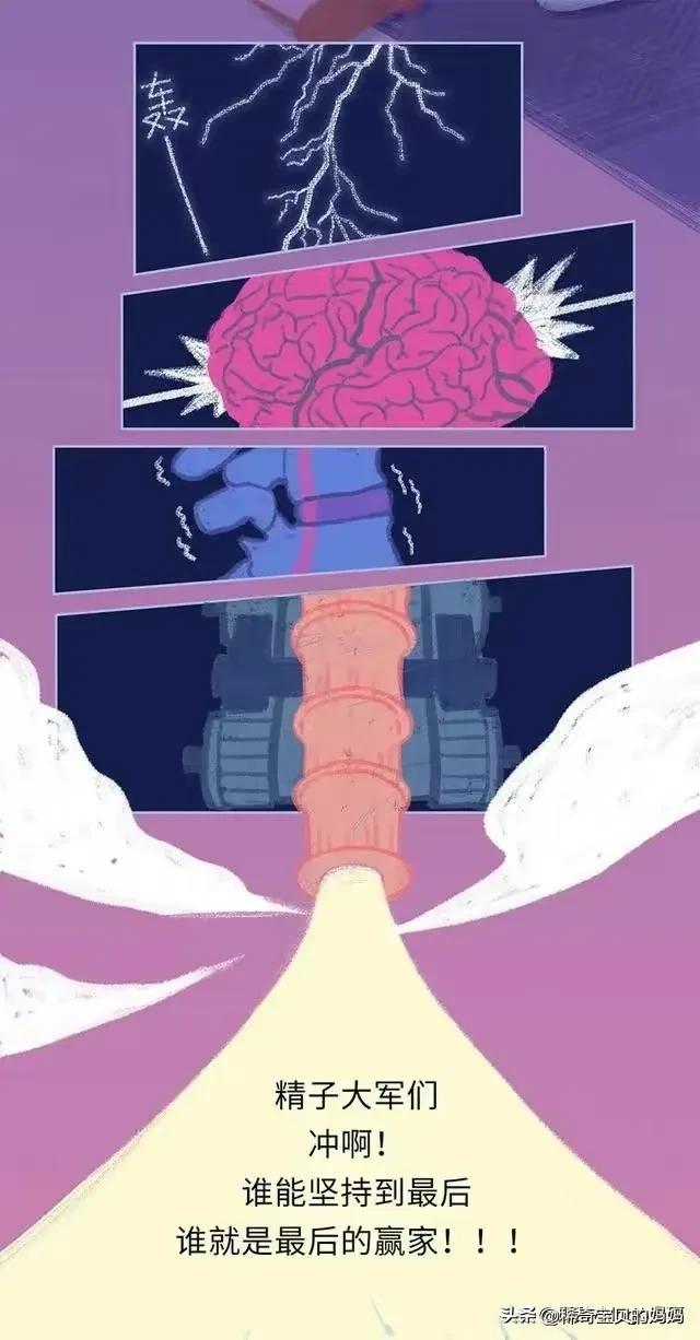 精子进入女生体内的24小时，都发生了些什么？励志漫画