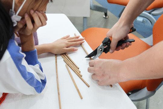 CAS儿童空间|生命花园:在校园屋顶打造感知自然的实验场