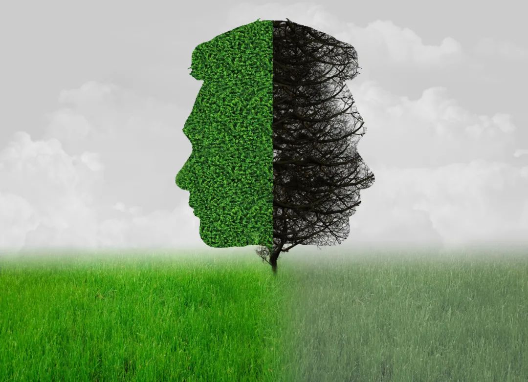 深圳心理咨询师报考条件2020,2022年深圳心理咨询师报名时间