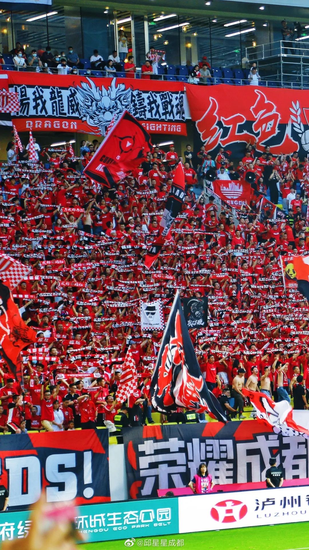 成都蓉城2-1上海海港主场氛围,成都蓉城足球队阵容解析