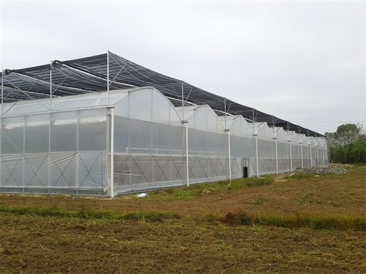 江西物联网智能温室大棚造价表,三门峡智能温室大棚造价多少钱