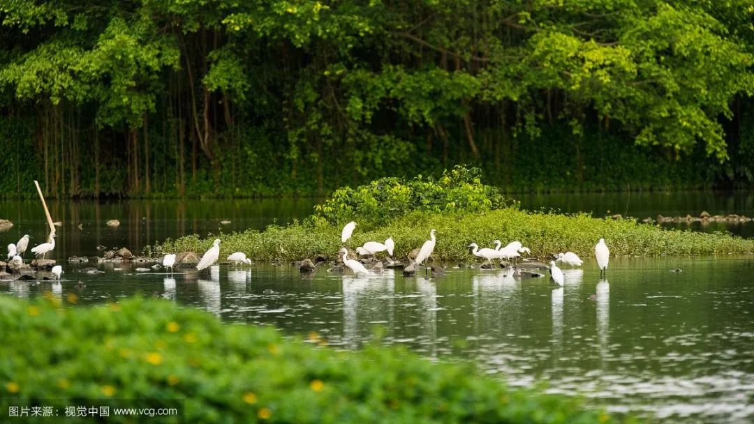 江门市地理图,地理冷知识