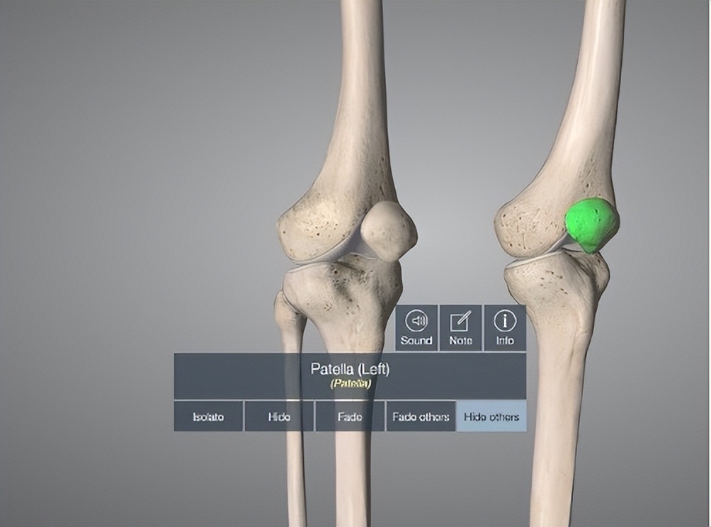 在家待久了脚痛,在家待久了胳膊关节痛