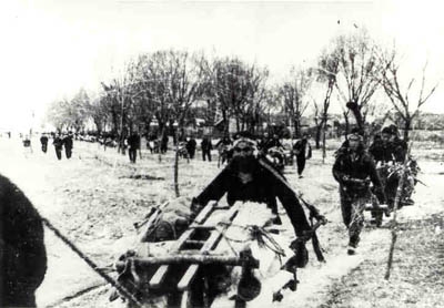 部队的经历是什么,部队里的经历