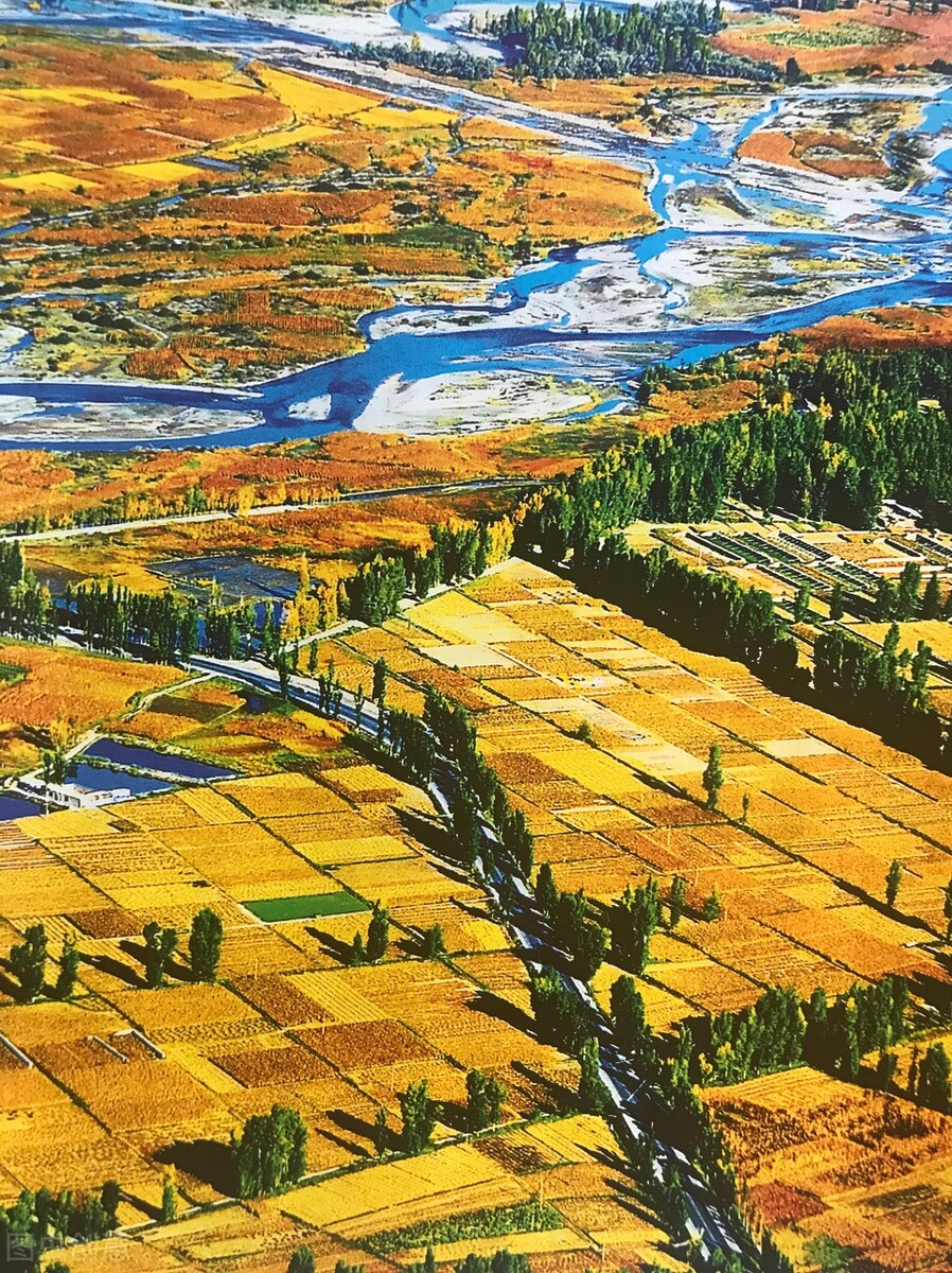 甘肃的什么地方的水果最好吃,甘肃的特色水果是什么