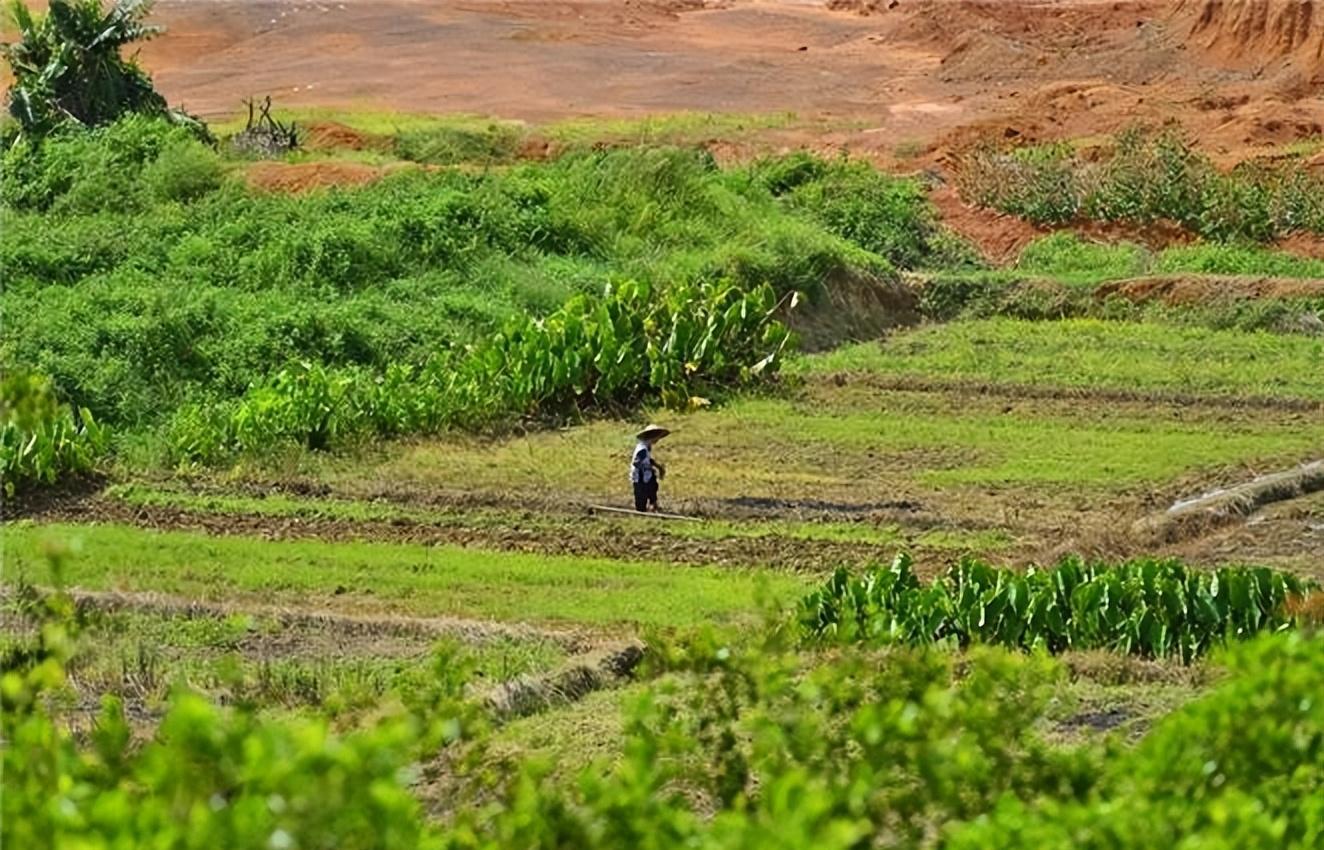 退休金被亲家盯上了？改口之后的真相让我感到心酸