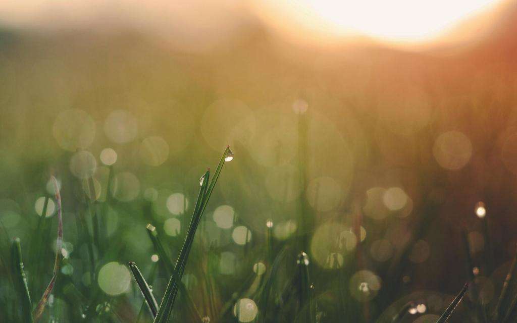 征服一个女人最好的方式是撩心,征服一个女人最好的方式是什么