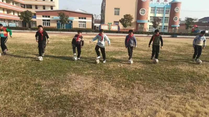 眉县青少年校园足球联赛,2019年眉县校园足球联赛