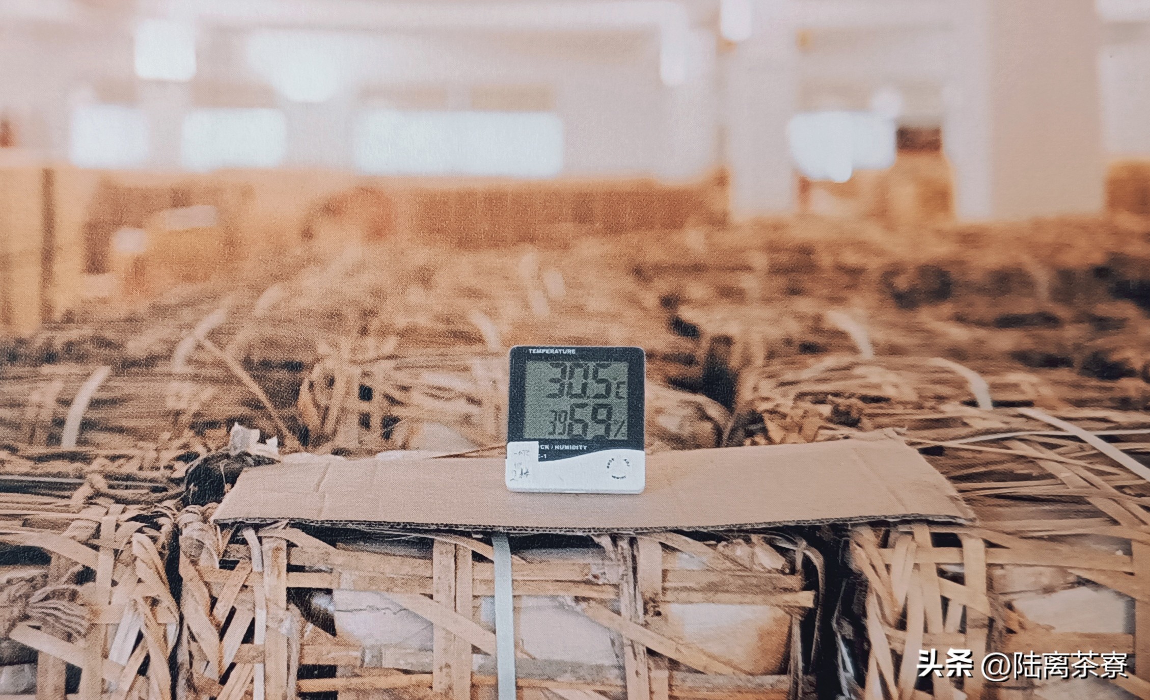 陈永堂与双陈普洱：深耕仓储，野望未来