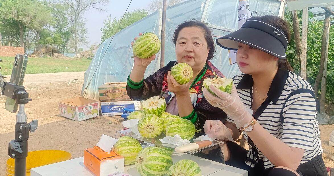 乡村“小网红”让于官香瓜对接大市场