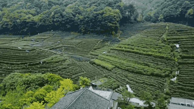 杭州夫妻花百亿做城堡,杭州夫妻自建庭院