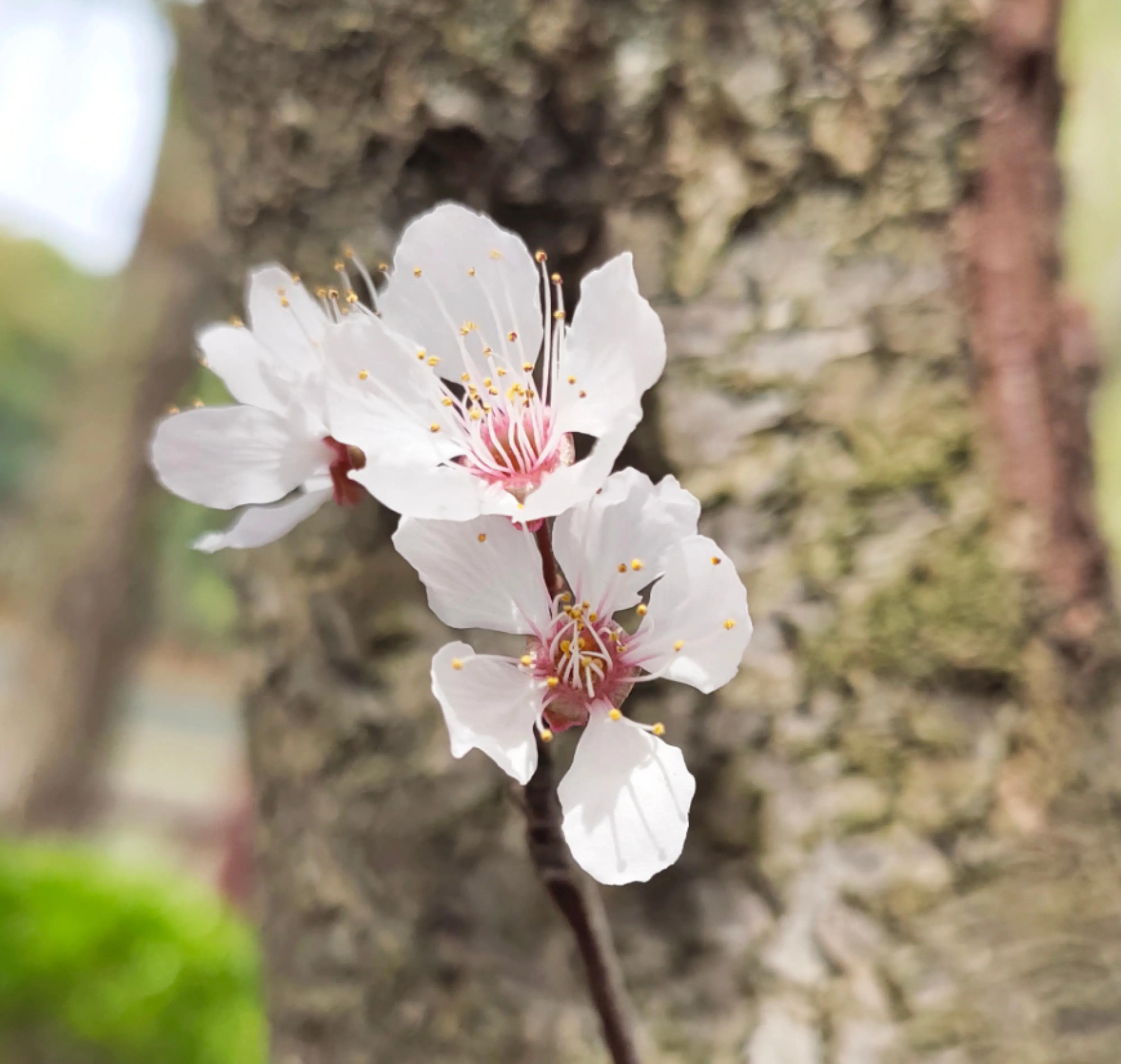 给低收入女生的10个省钱小建议,给30岁低学历女生的建议