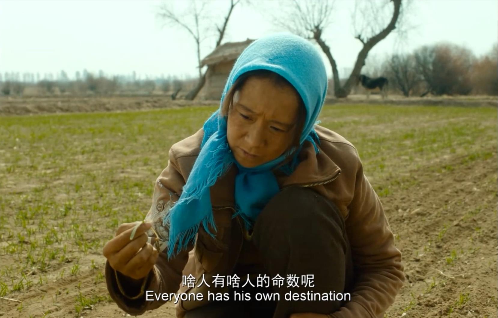 《隐入尘烟》全片观后感，隐隐的钝痛、压抑，仿佛没有希望