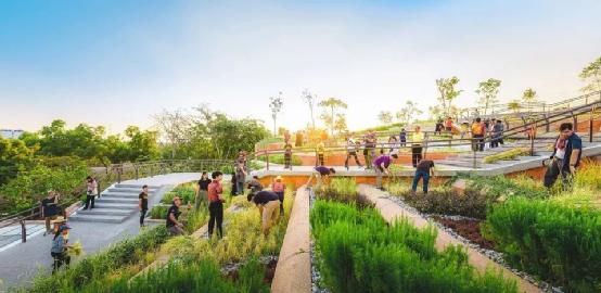 提升活力的景观设计,智慧体验景观设计