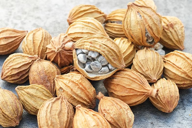 姜类香辛料都包含哪些种,12种必须了解的香料作用和用量