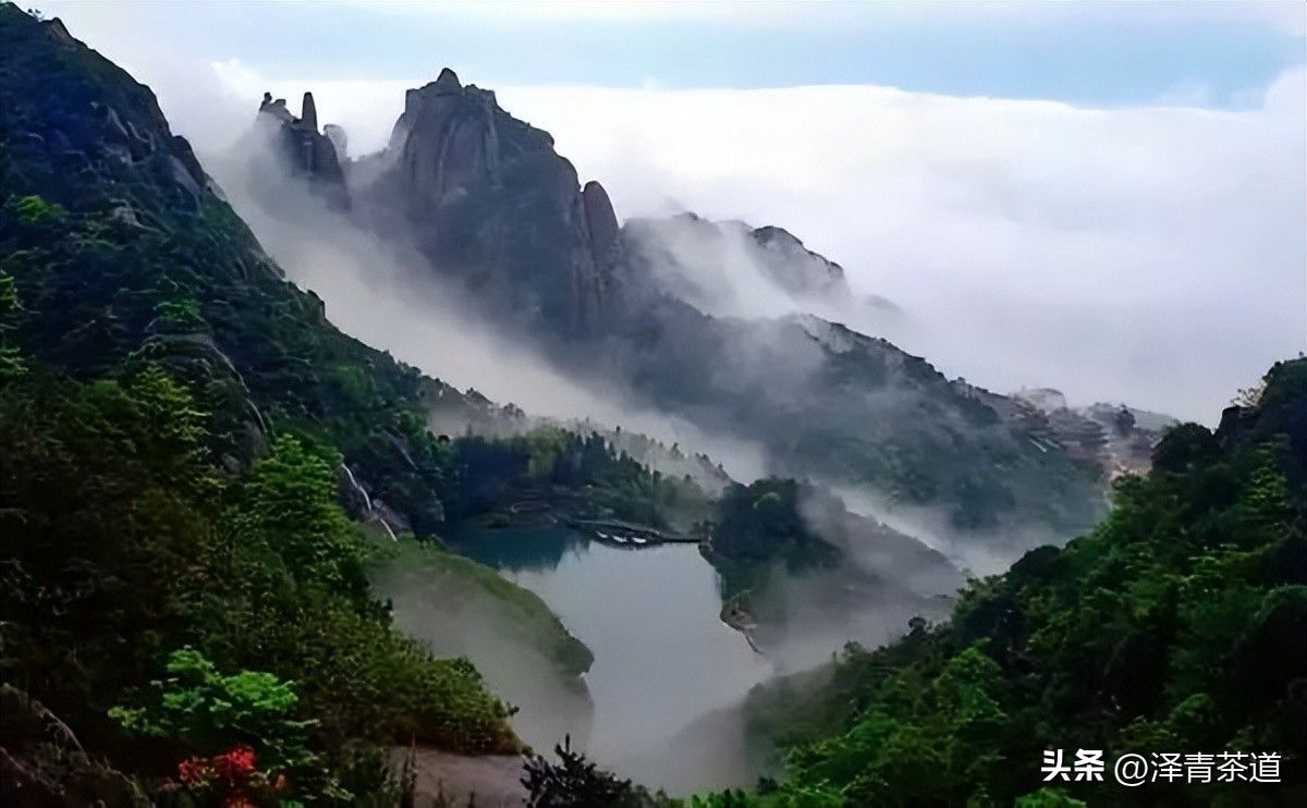 中国10大名茶品牌排名图片,2022年最具品牌价值的10大茶品牌