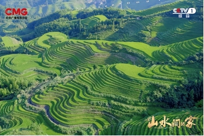 种田就是种风景！《山水间的家》见证乡村十年绿色蝶变