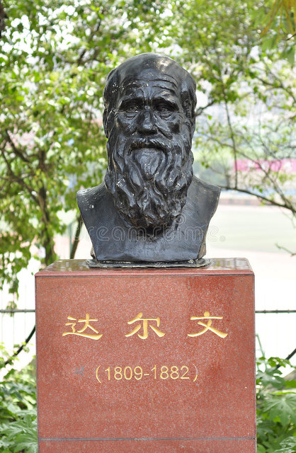 达尔文提出进化论的故事,达尔文的进化论学说证实了什么