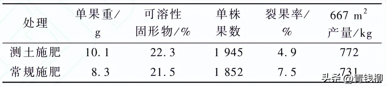 东阳樱桃大棚栽培技术,大棚种植的樱桃品种选择