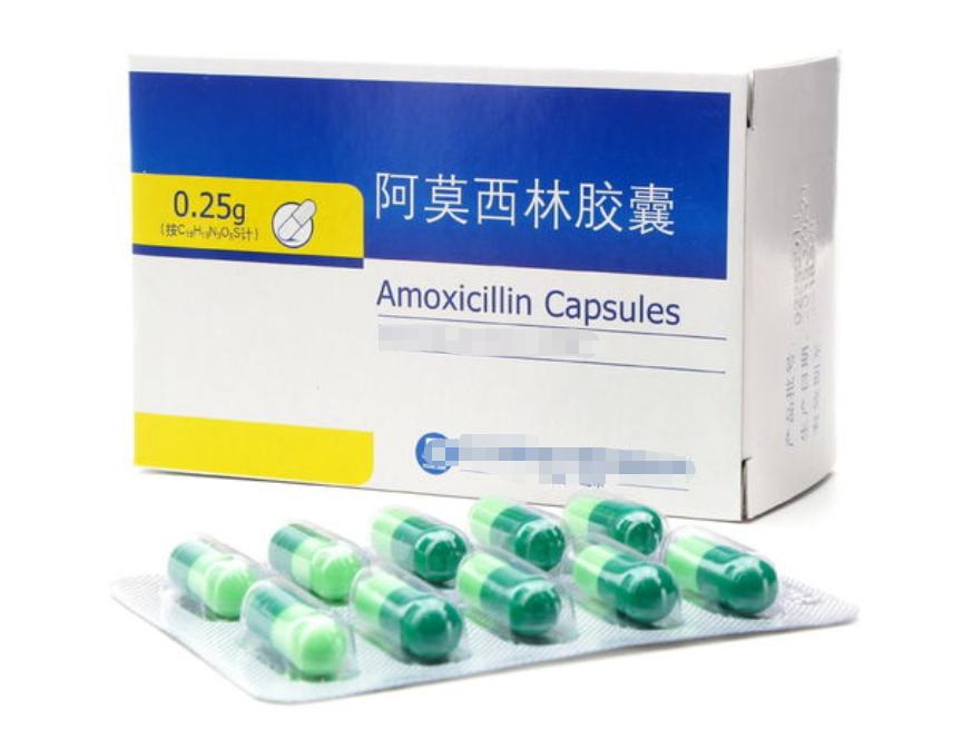 阿莫西林要认清只对这5种病有效,阿莫西林别乱吃只对这四种病有效