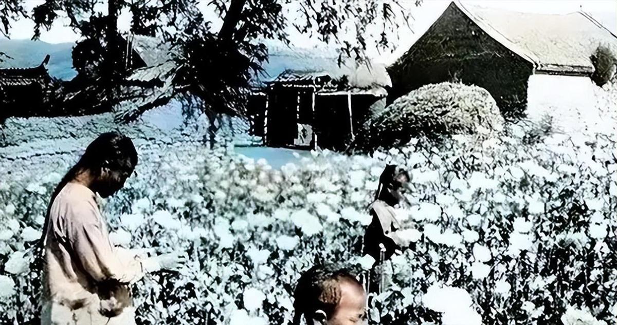 女子身着日本侵华军装露脸,女子穿日军军服拍照被抓