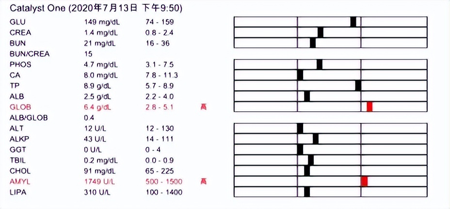 猫咪得了口炎谁有好办法治疗,猫咪得了口炎需要打什么针
