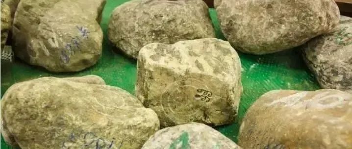 赌石套路,翡翠贝壳赌石套路