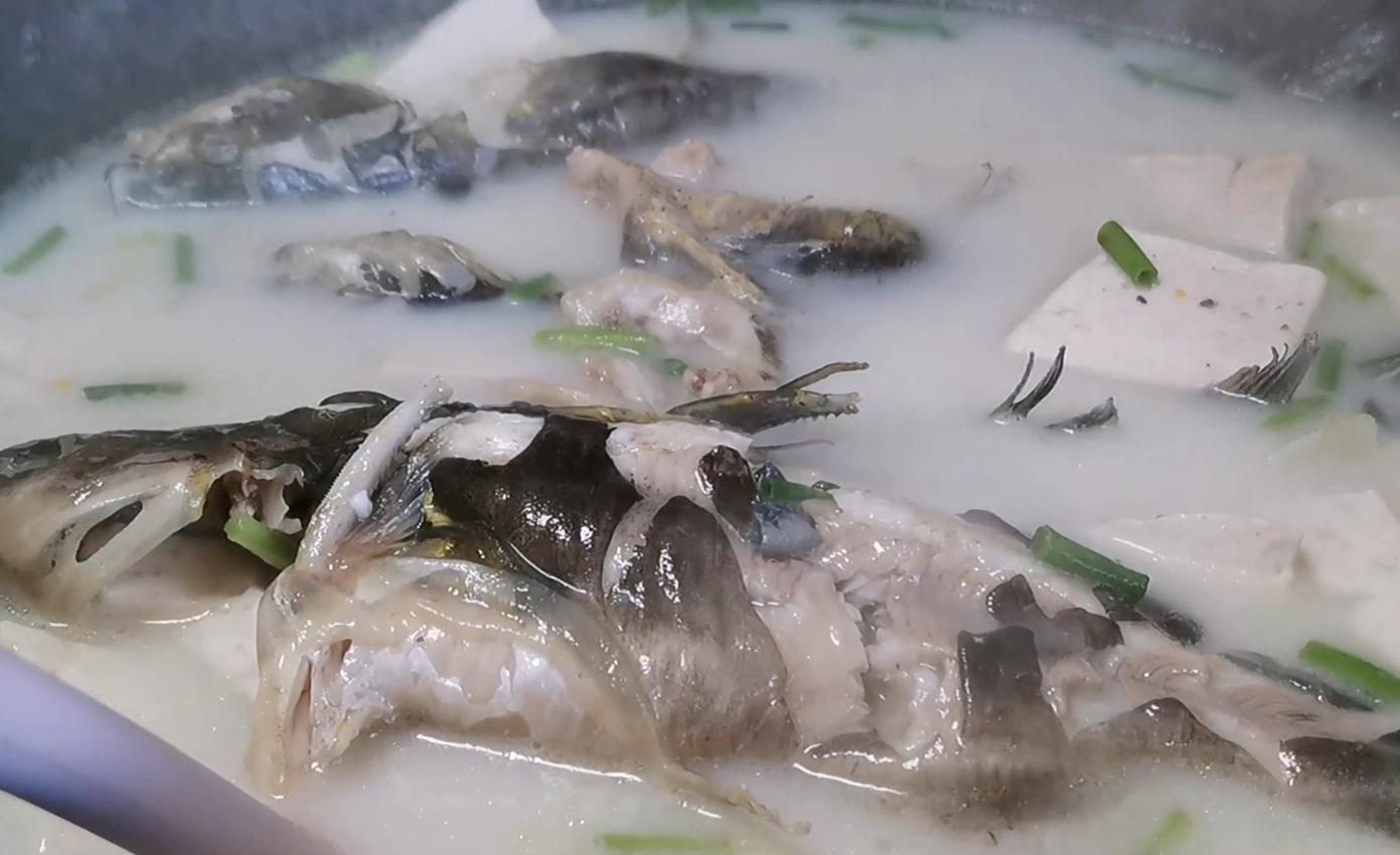 不论炖什么鱼最忌放这2种调料,炖鱼的时候多放什么鱼才能不腥
