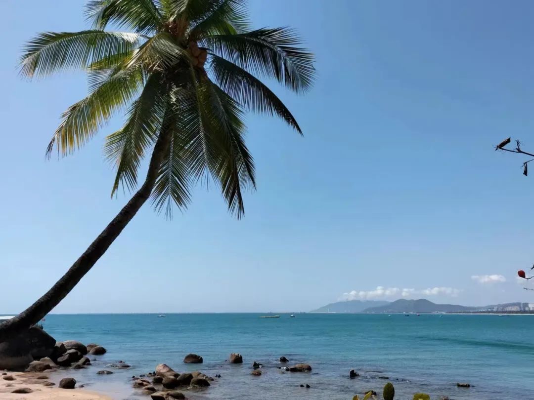 中年女性感情史,40岁女人亲身揭露婚外恋真相