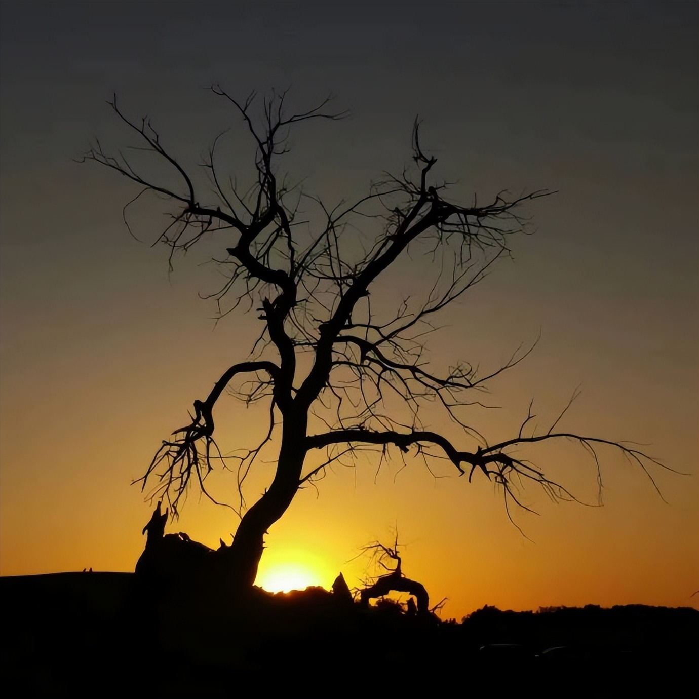 能绕地球一圈的边境自驾游,跨越3000公里穿越无人区