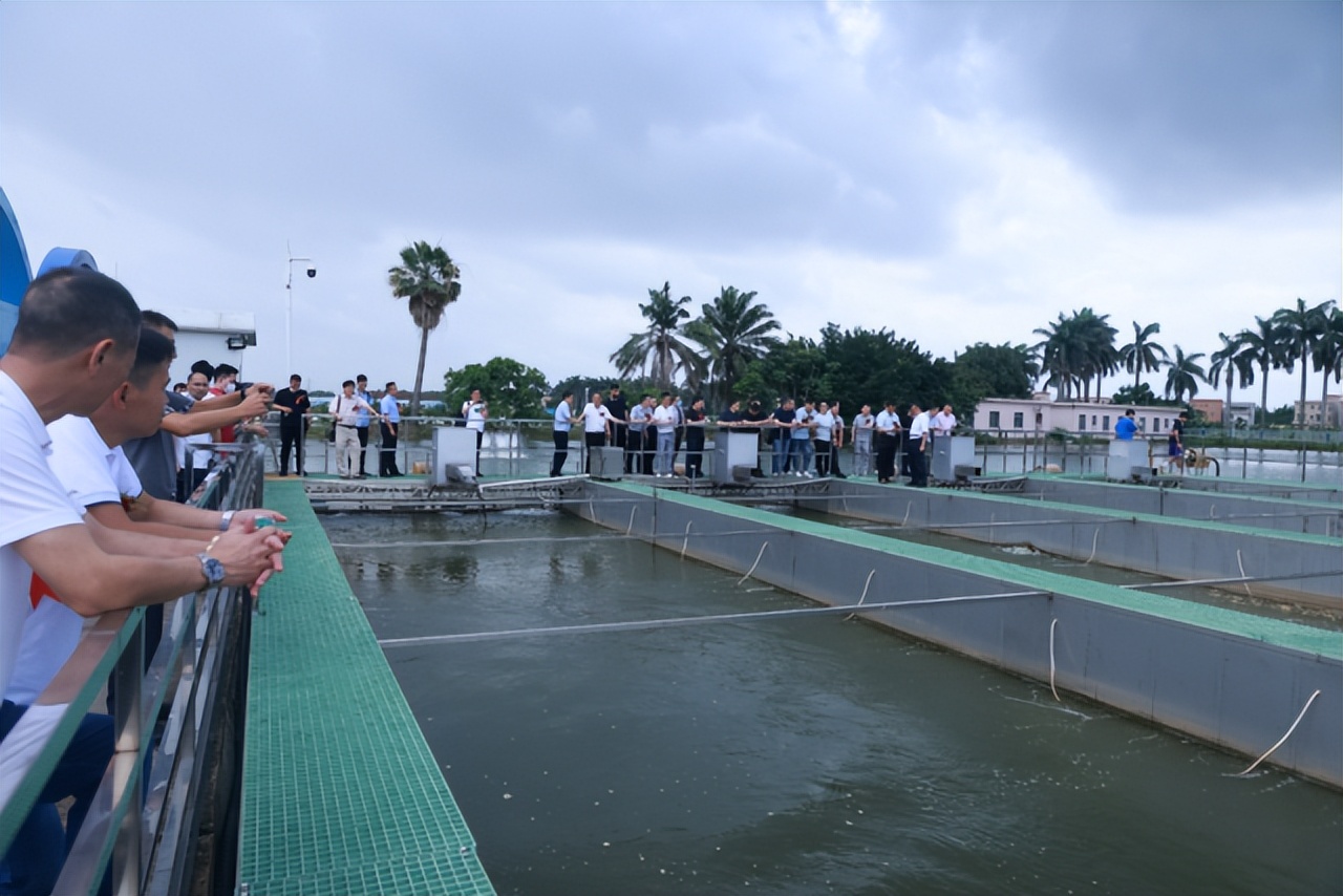 大动作发展活动方案,大动作发展活动的预期目标