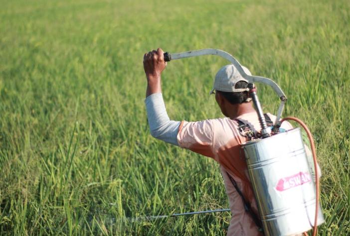 农药“新星”广康生化开启IPO之路，能否成为创业板“黑马”？