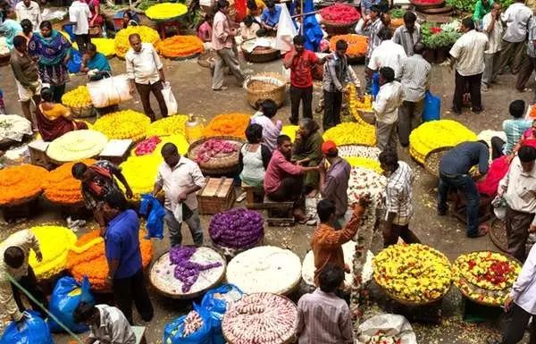 在西双版纳的知青生活,下乡插队的知青岁月