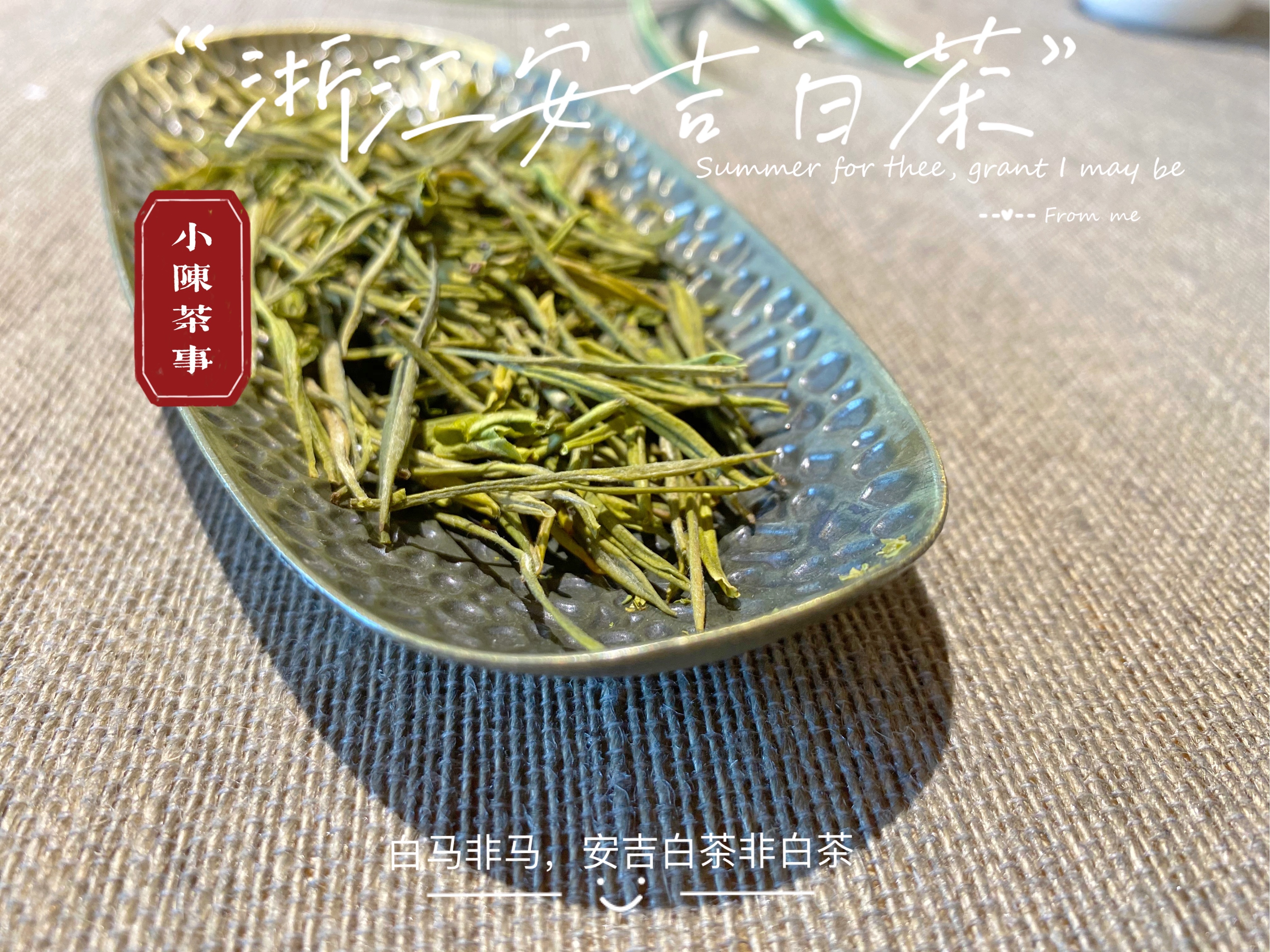 大红袍是什么茶铁观音茶是绿茶吗,大红袍属于什么茶是绿茶还是红茶